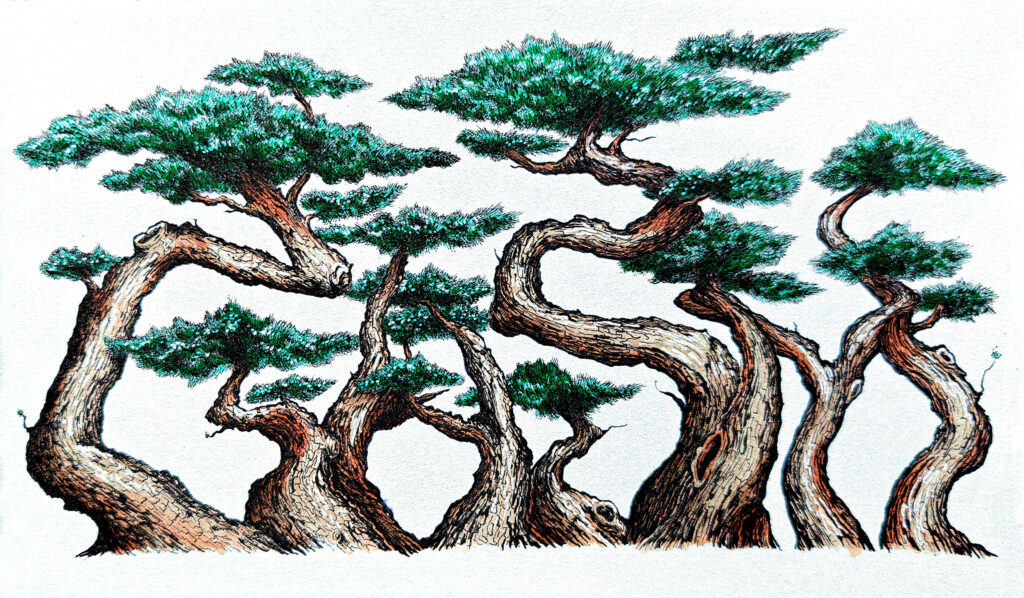 Bonsai trees of various shapes and sizes form the name GASM.