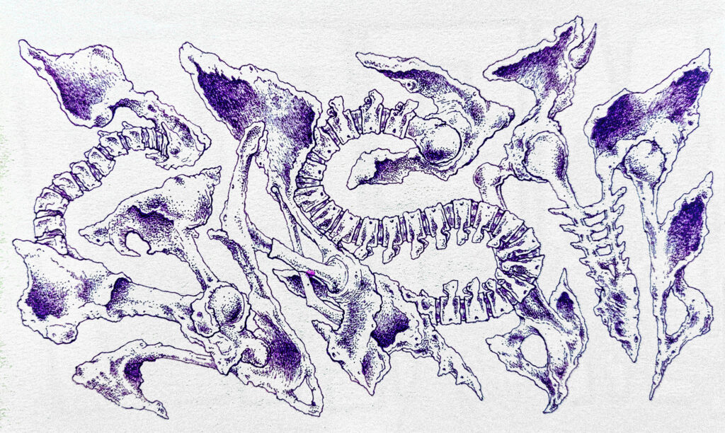 The name GASM composed of various bone and vertebrae shapes. The boneforms are purple and the background is an off-white.