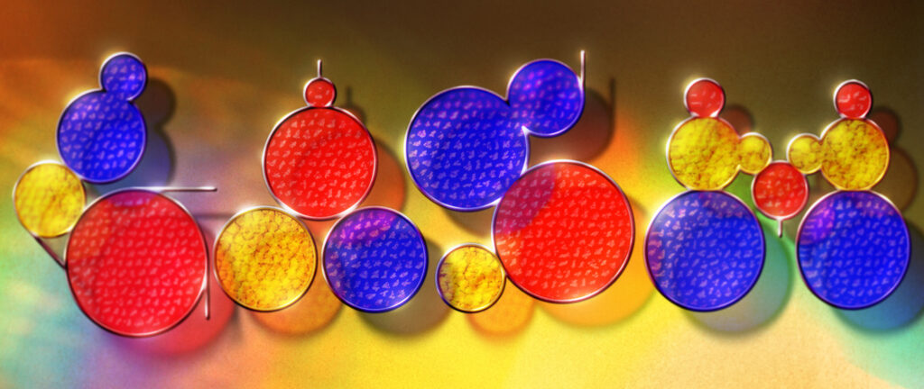 The name GASM composed of circles, seemingly made of some kind of dappled glass in red, yellow and blue tones. The circles are held together by a thing metal frame which holds the circles together. Each letter uses all three colors. The background has a slight rainbow effect and the shadow cast by the name can be seen through the glass circles.
